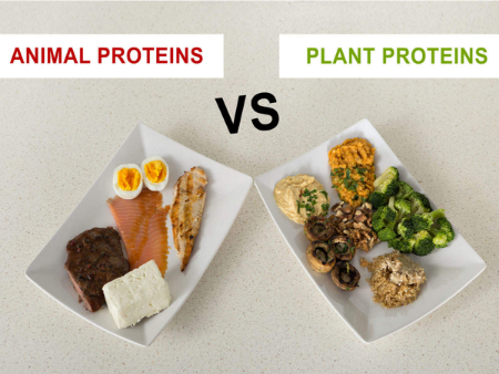 پروتئین گیاهی یا حیوانی, منابع پروتئین