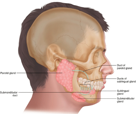 آبسه پاروتید, علائم پاروتید