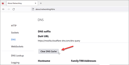 نحوه پاک کردن کش DNS, پاک کردن حافظه موقت DNS,پاک کردن کش DNS با دکمه Clear DNS Cache