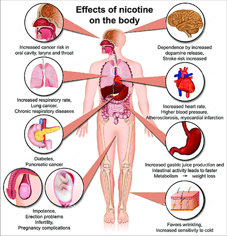 نیکوتین, مضرات نیکوتین در بدن, اثرات مصرف نیکوتین بر بدن