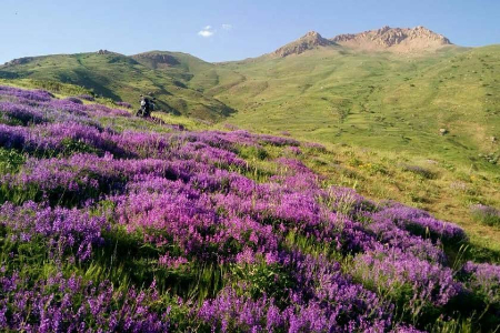 زیبایی‌های طبیعت لرد