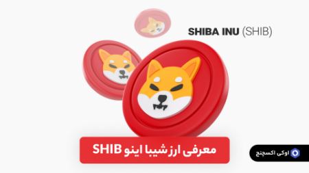 ارز شیبا اینو SHIB