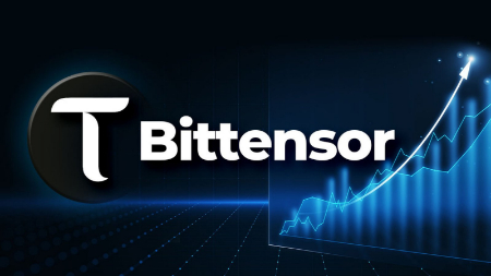 ارز دیجیتال بیتنسور Bittensor, آموزش استفاده از بیتنسور