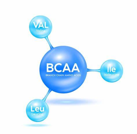 مزایای BCAA, مکمل BCAA برای بدنسازی