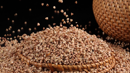نحوه نگهداری گندم سیاه, مدت ماندگاری گندم سیاه
