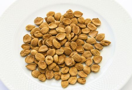 هسته زردآلو, بو دادن هسته زردآلو