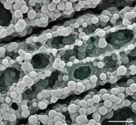 میکروسیلیس چیست