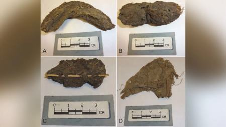 مدفوع،اخبار گوناگون،خبرهای گوناگون