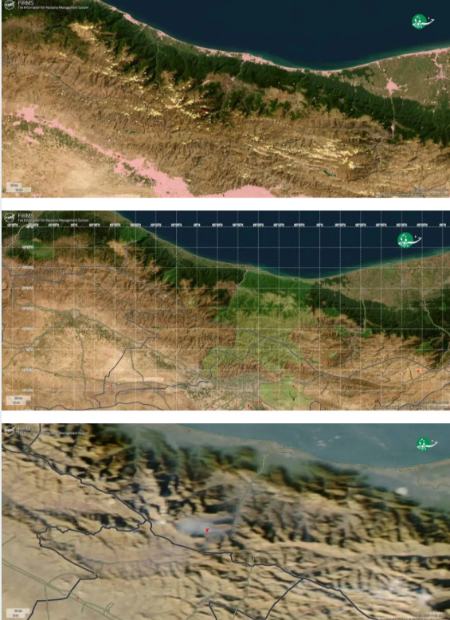 جنگل های شمال،اخبار اجتماعی،خبرهای اجتماعی