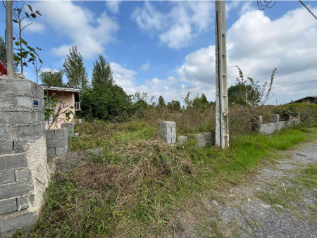 خرید زمین در شمال