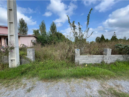 خرید زمین در شمال