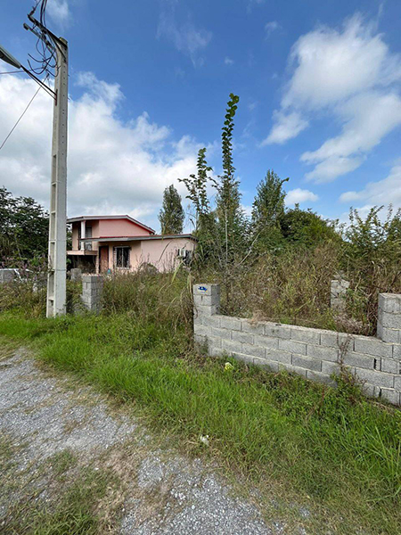 خرید زمین در شمال