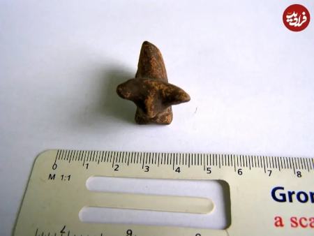 گاو کوچک باستانی،اخبار گوناگون،خبرهای گوناگون