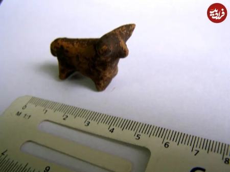 گاو کوچک باستانی،اخبار گوناگون،خبرهای گوناگون