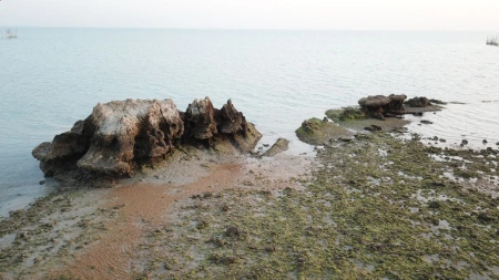 ساحل دستیر, ساحل دستیر پارسیان