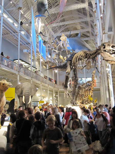 موزه ملی اسکاتلند,ساعت کاری موزه اسکاتلند