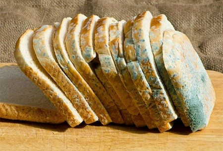 جلوگیری از بیات شدن نان تست, جلوگیری از کپک زدن نان تست