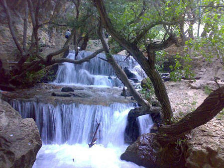 پارک جنگلی یاسوج,آبشار یاسوج