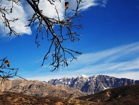 پارک جنگلی یاسوج,آبشار یاسوج