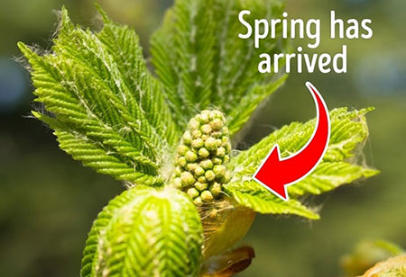 سوئیس,کشور سوئیس,حقایقی درباره سوئیس
